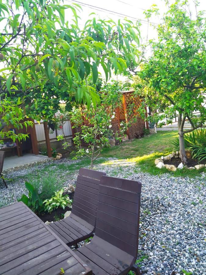 Guest House Lev Pitsunda Dış mekan fotoğraf
